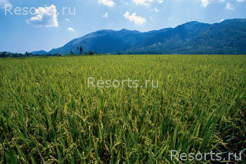 Evason Ana Mandara Nha Trang 67
